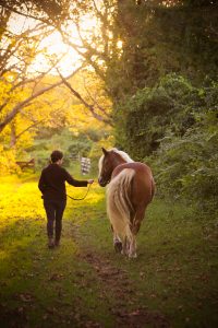 Being with my horse is another way to lessen anxiety.